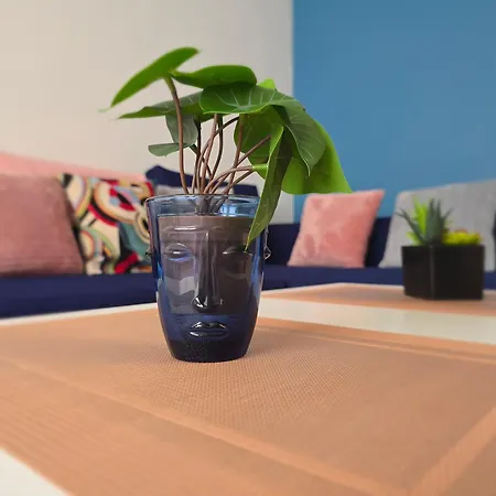 Le Matisse Apartment